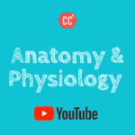 anatomy and physiology crash course