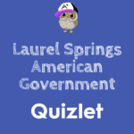 Laurel Springs American Government Quizlet