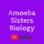 amoeba sisters biology playlist