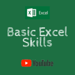 Basic Excel Skills Video