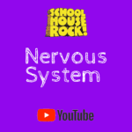 Nervous System