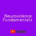 Neuroscience Fundamentals