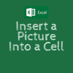 insert a picture into a cell excel video