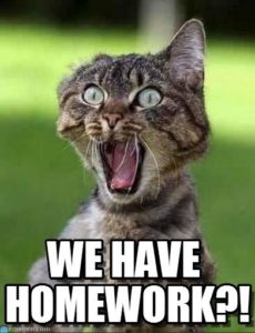 We have homework cat meme