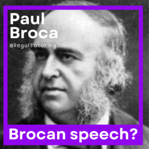 Paul Broca Psychology Meme