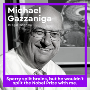 Michael Gazzaniga Psychology Meme
