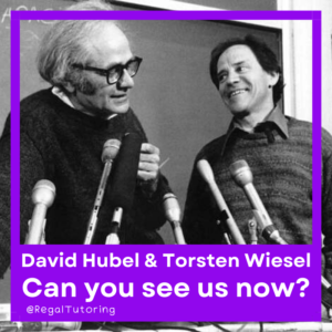 David Huber Torsten Wiesel Psychology Meme