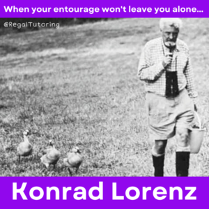 Konrad Lorenz Psychology Meme