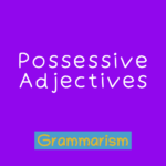 possessive adjectives online quiz