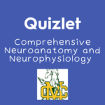 Comprehensive Neuroanatomy and Neurophysiology