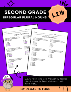 Irregular Plural Nouns L.2.1b